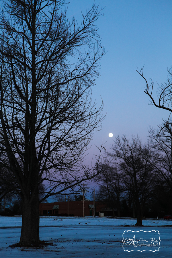 Snow_Snowpocalypse_Greenville_SC_Amy_Clifton_Keely_Photography 06