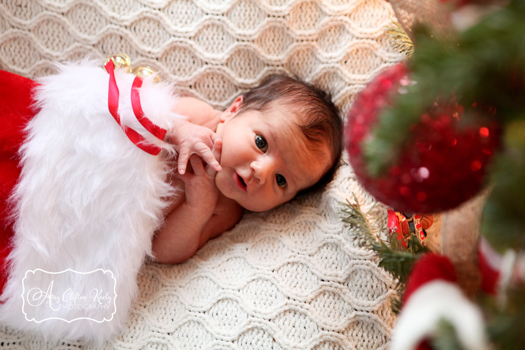 Christmas_Baby_Newborn_Portrait_Siblings_Greer_SC_Family_Photographer_Amy_Clifton_Keely_Photography 01